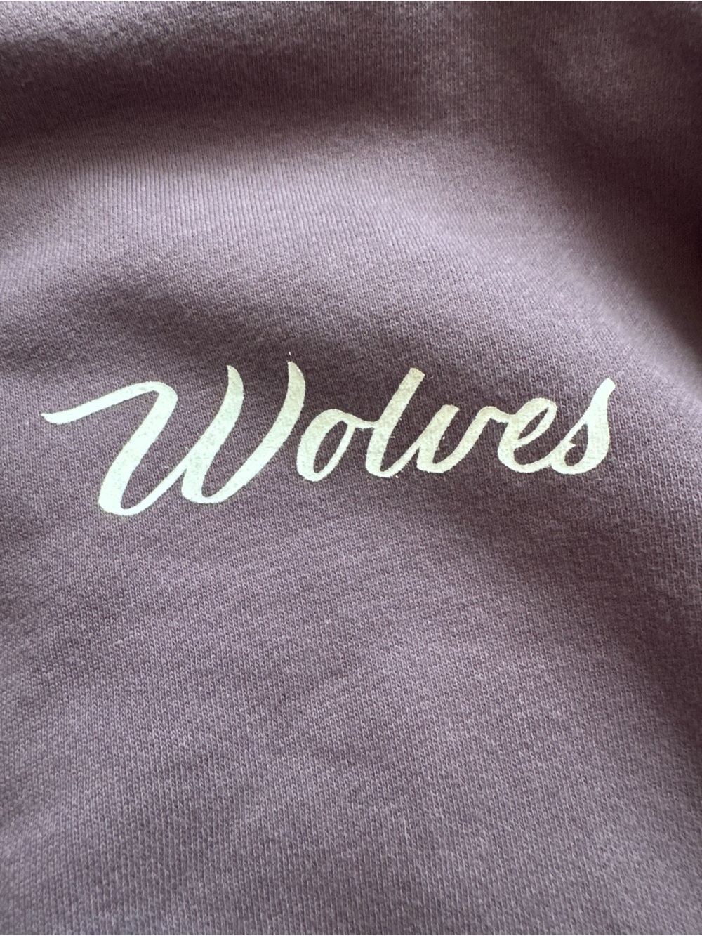 Darc Sport Cropped Crewneck Sweatshirt - Vintage Plum - Picture 5 of 5